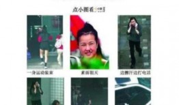 狗仔娱乐爆料视频大全下载,视频大全下载全解析